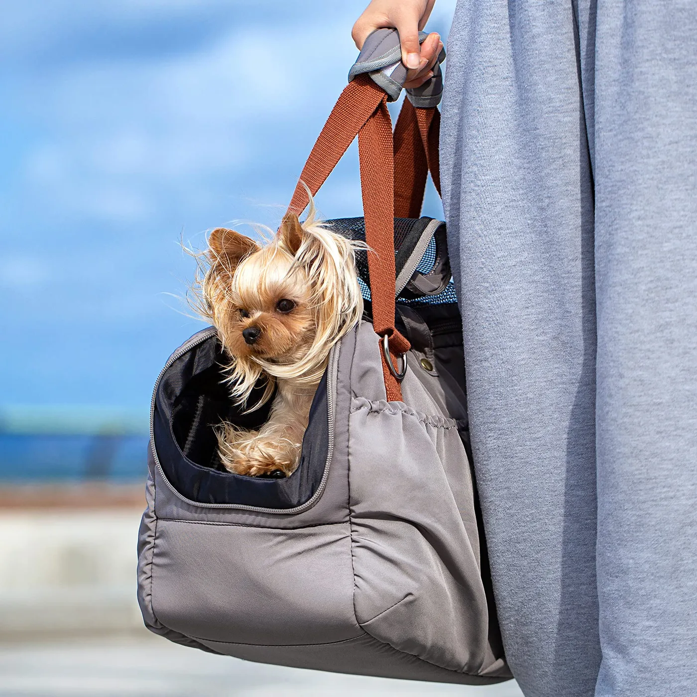 Cat Carrier Waterproof: Rain Protection - detail view supplied by QUANZHOU JUNYUAN BAGS