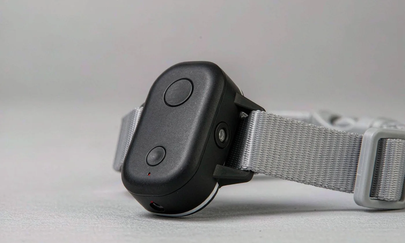Pet Carrier Collar: Coordinated Look - detail view supplied by QUANZHOU JUNYUAN BAGS