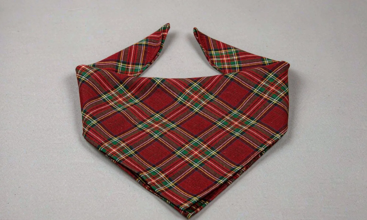 Pet Carrier Birthday Bandana: Celebration - detail view supplied by QUANZHOU JUNYUAN BAGS
