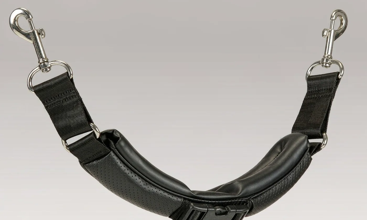 Cat Carrier with Backpack Straps: Convertible Design - detail view supplied by QUANZHOU JUNYUAN BAGS