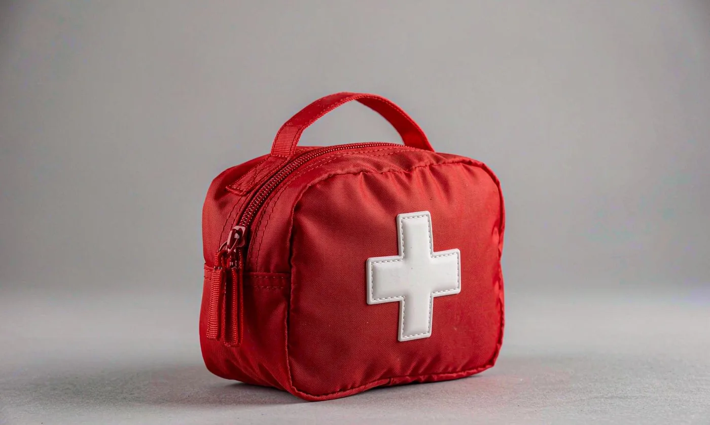 Pet Carrier Leash: Matching Set - detail view supplied by QUANZHOU JUNYUAN BAGS